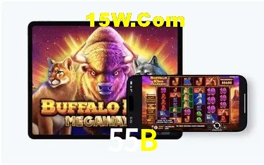 Promoção Relâmpago 55B