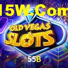 Programa VIP 55B