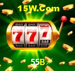 Login Seguro 55B