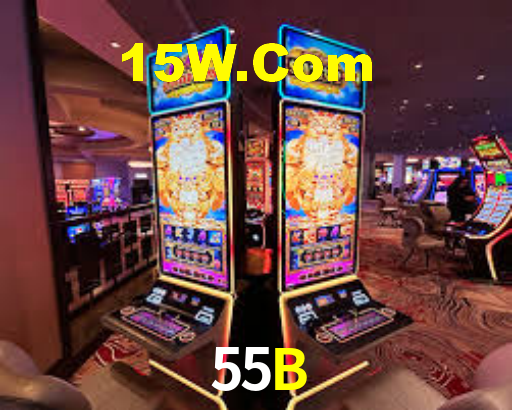 55B Vip